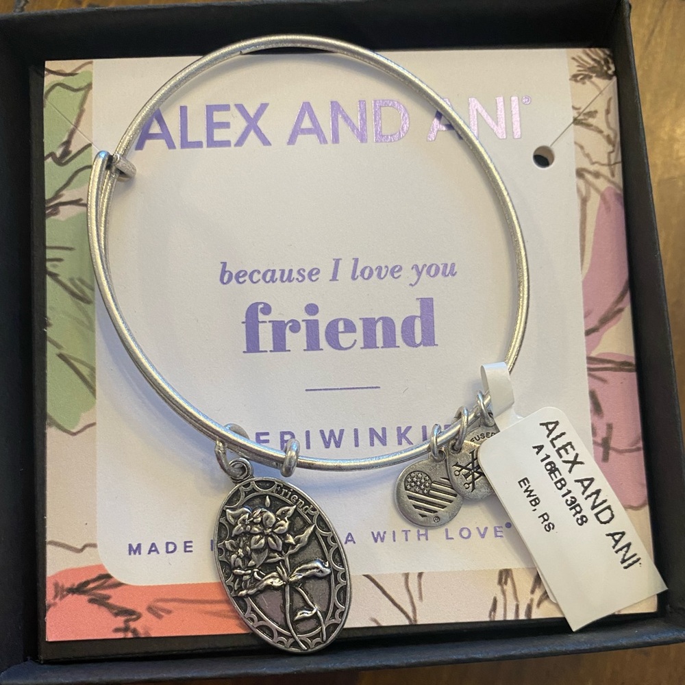 NWT Alex and Ani bangle “friendship” and periwinkle on the pendant